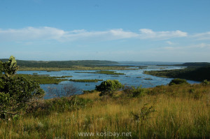 kosi bay estuary